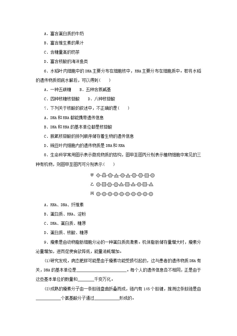 2022_2023学年新教材高中生物课后分层检测案7核酸是遗传信息的携带者新人教版必修102