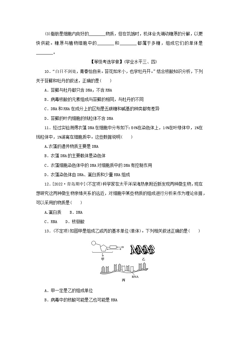 2022_2023学年新教材高中生物课后分层检测案7核酸是遗传信息的携带者新人教版必修103