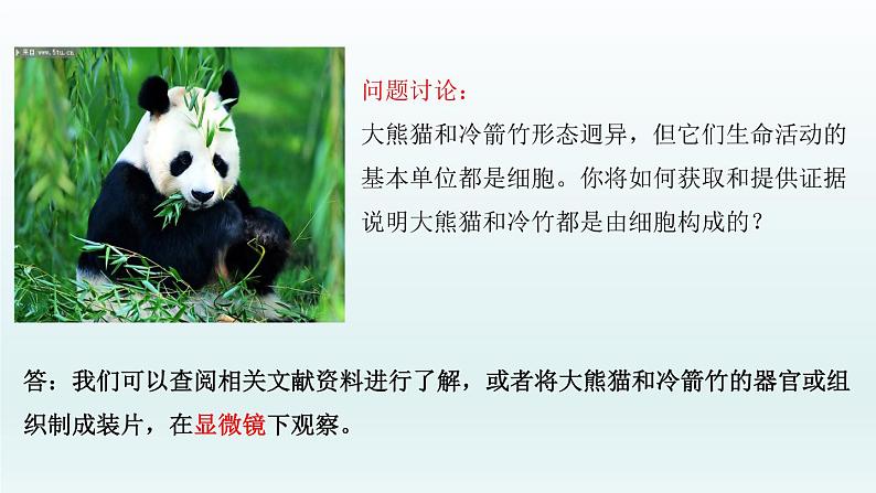 1.1细胞是生命活动的基本单位（第一课时）第4页