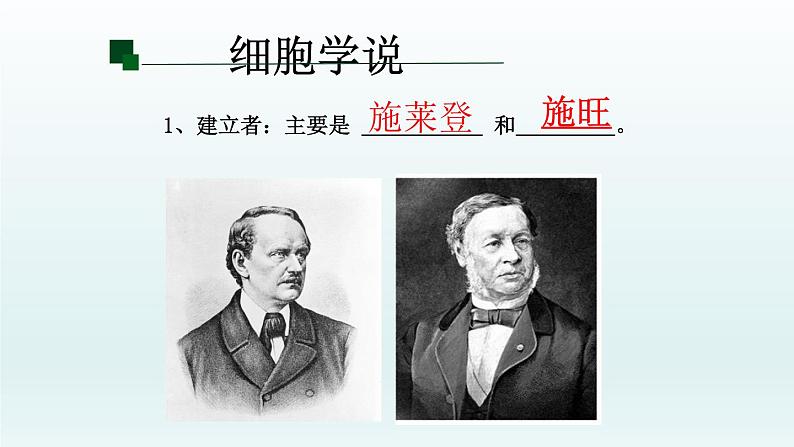 1.1细胞是生命活动的基本单位（第一课时）第5页