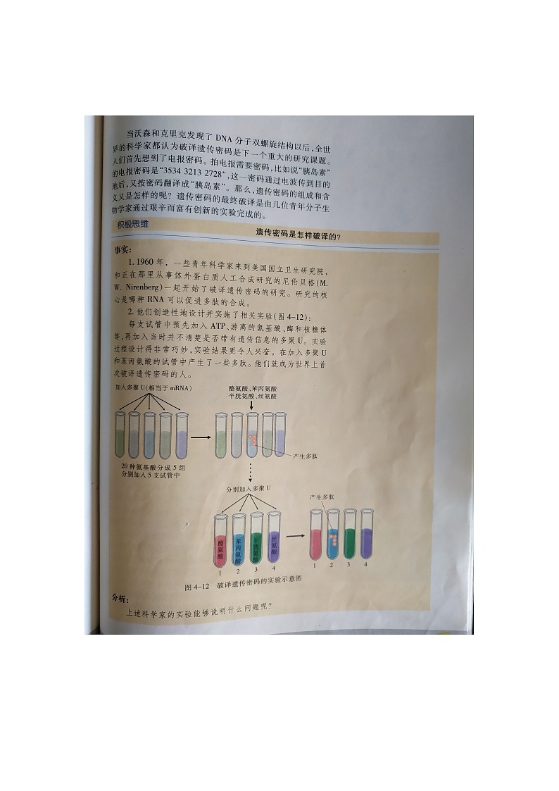 苏教版高中生物必修2第2章第三节《基因控制蛋白质的合成》微课教学设计03