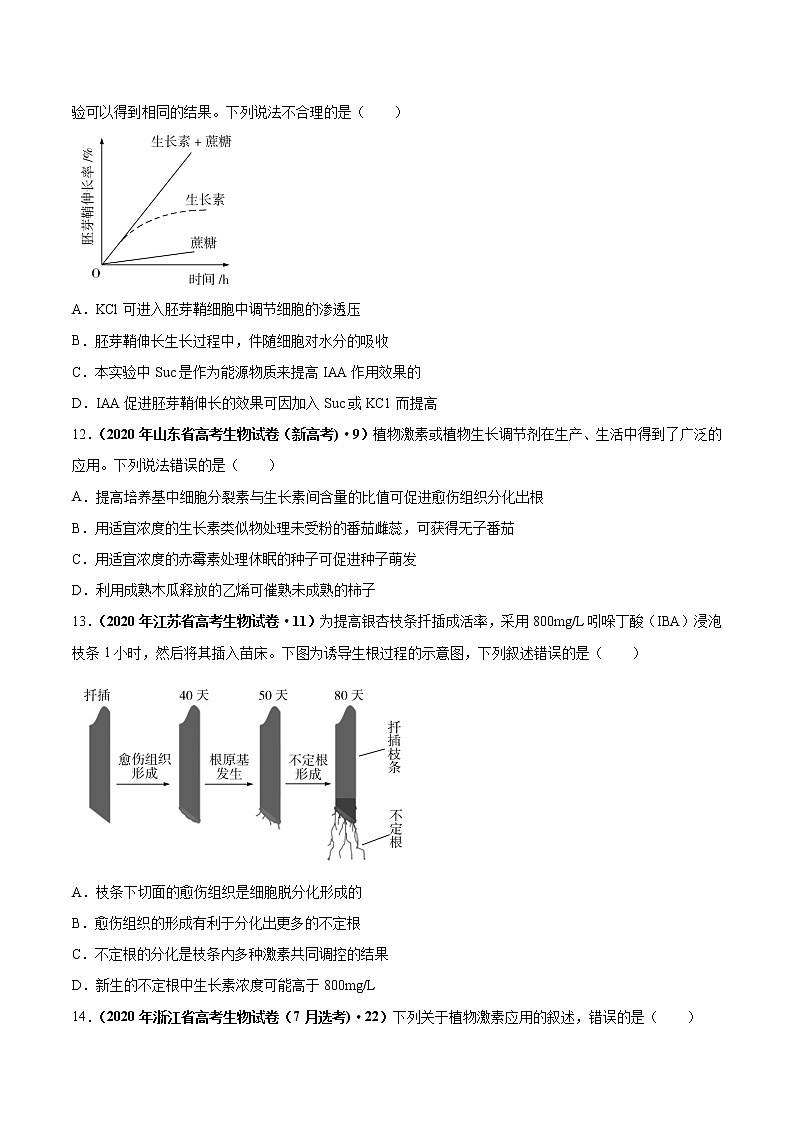 专题10 植物生命活动的调节-十年（2013-2022）高考生物真题分项汇编（全国通用）（原卷版）第3页