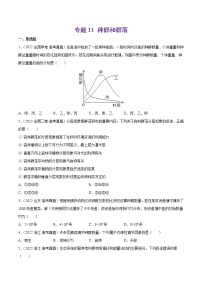 专题11 种群和群落-十年（2013-2022）高考生物真题分项汇编（全国通用）（原卷版）