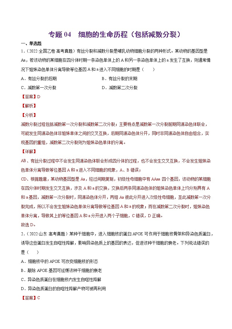 专题04 细胞的生命历程（包括减数分裂）-十年（2013-2022）高考生物真题分项汇编（全国通用）（解析版）01