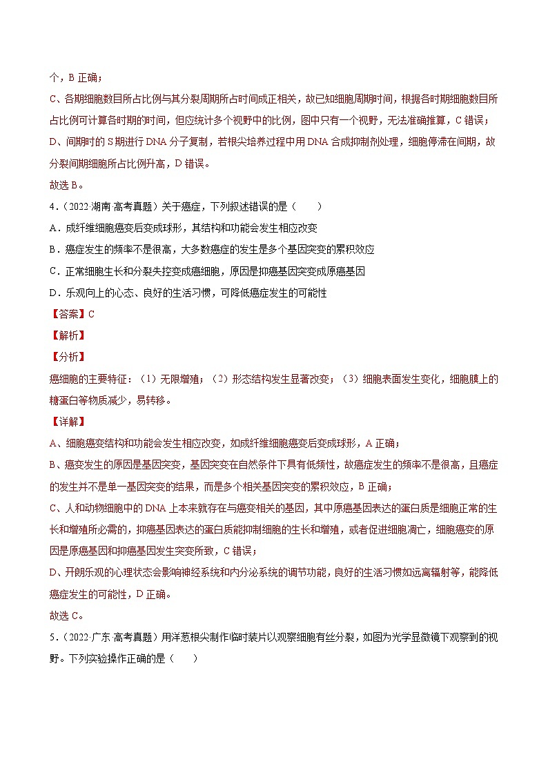 专题04 细胞的生命历程（包括减数分裂）-十年（2013-2022）高考生物真题分项汇编（全国通用）（解析版）03