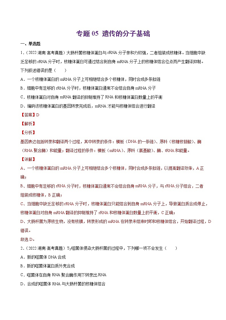 专题05 遗传的分子基础-十年（2013-2022）高考生物真题分项汇编（全国通用）（解析版）第1页