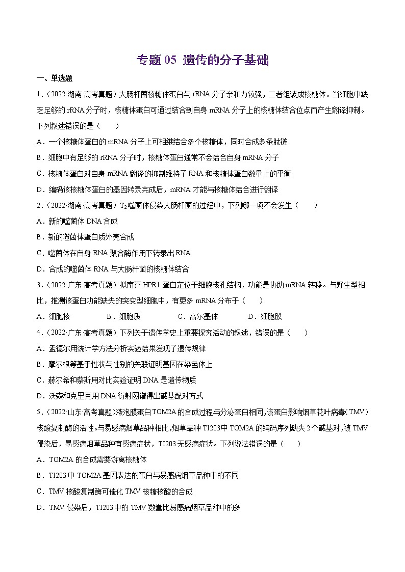 专题05 遗传的分子基础-十年（2013-2022）高考生物真题分项汇编（全国通用）（原卷版）第1页