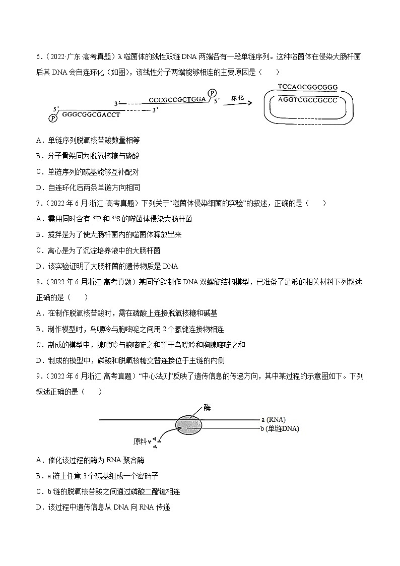 专题05 遗传的分子基础-十年（2013-2022）高考生物真题分项汇编（全国通用）（原卷版）第2页