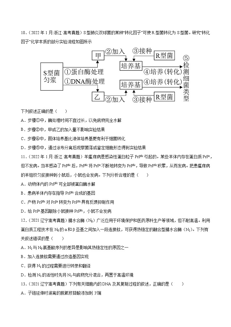 专题05 遗传的分子基础-十年（2013-2022）高考生物真题分项汇编（全国通用）（原卷版）第3页