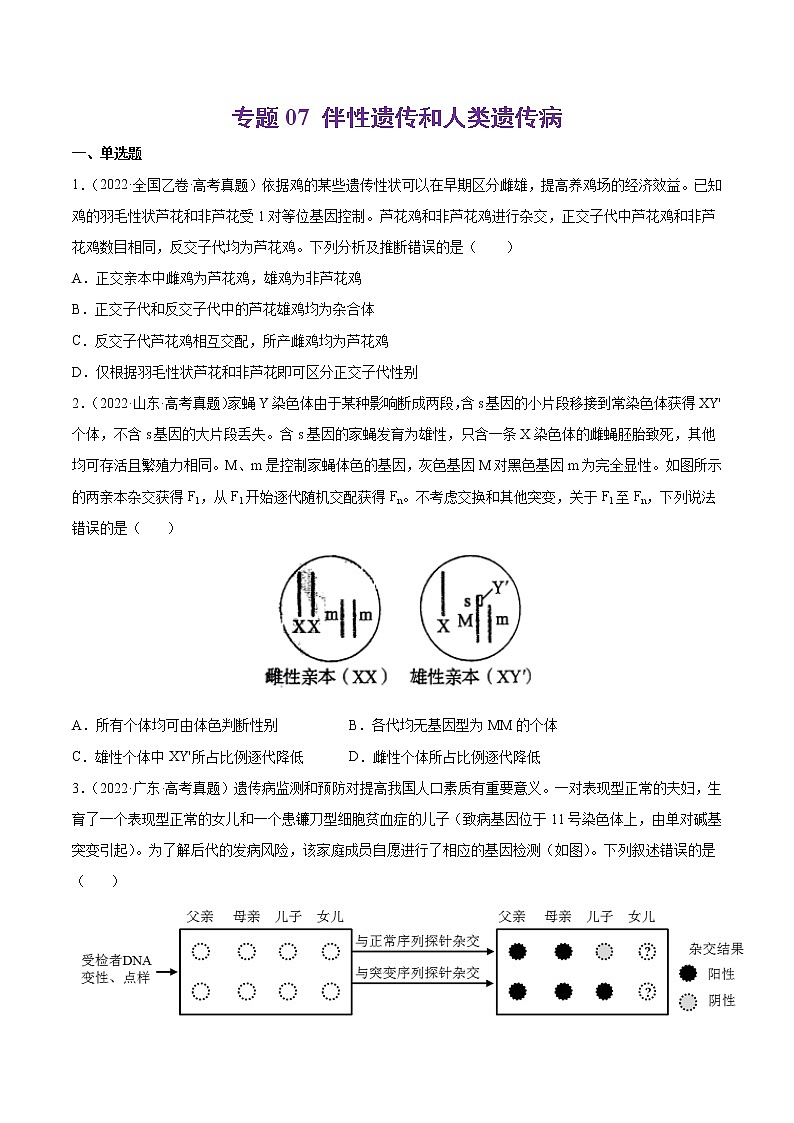专题07 伴性遗传和人类遗传病-十年（2013-2022）高考生物真题分项汇编（全国通用）（原卷版）01