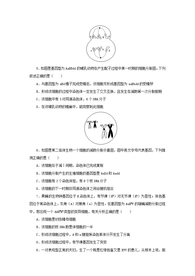 2023版高考生物第二部分综合练专练94基因和染色体的关系第2页