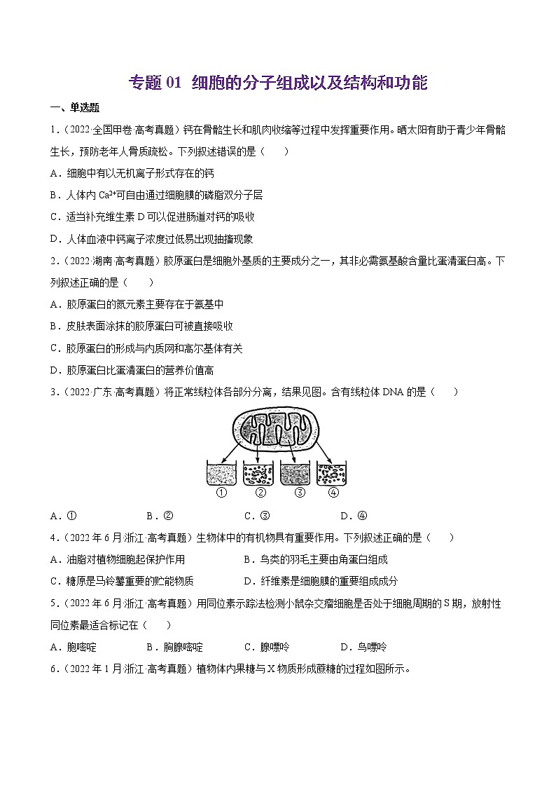 专题01 细胞的分子组成以及结构和功能-十年（2013-2022）高考生物真题分项汇编（全国通用）（原卷版）01