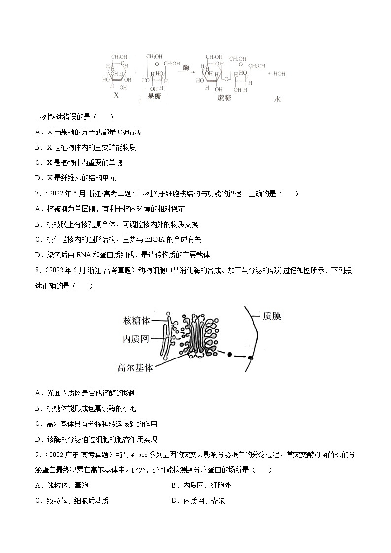 专题01 细胞的分子组成以及结构和功能-十年（2013-2022）高考生物真题分项汇编（全国通用）（原卷版）02