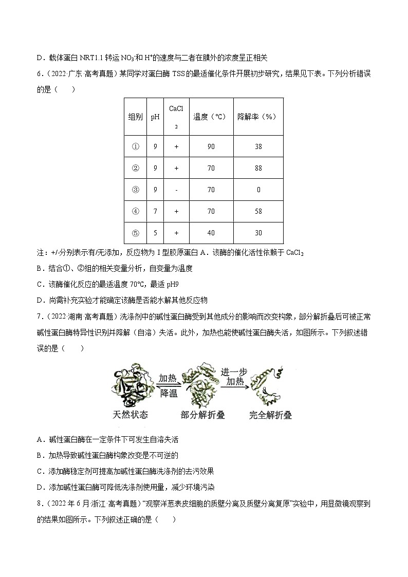 专题02 细胞的物质运输、酶与ATP-十年（2013-2022）高考生物真题分项汇编（全国通用）（原卷版）03