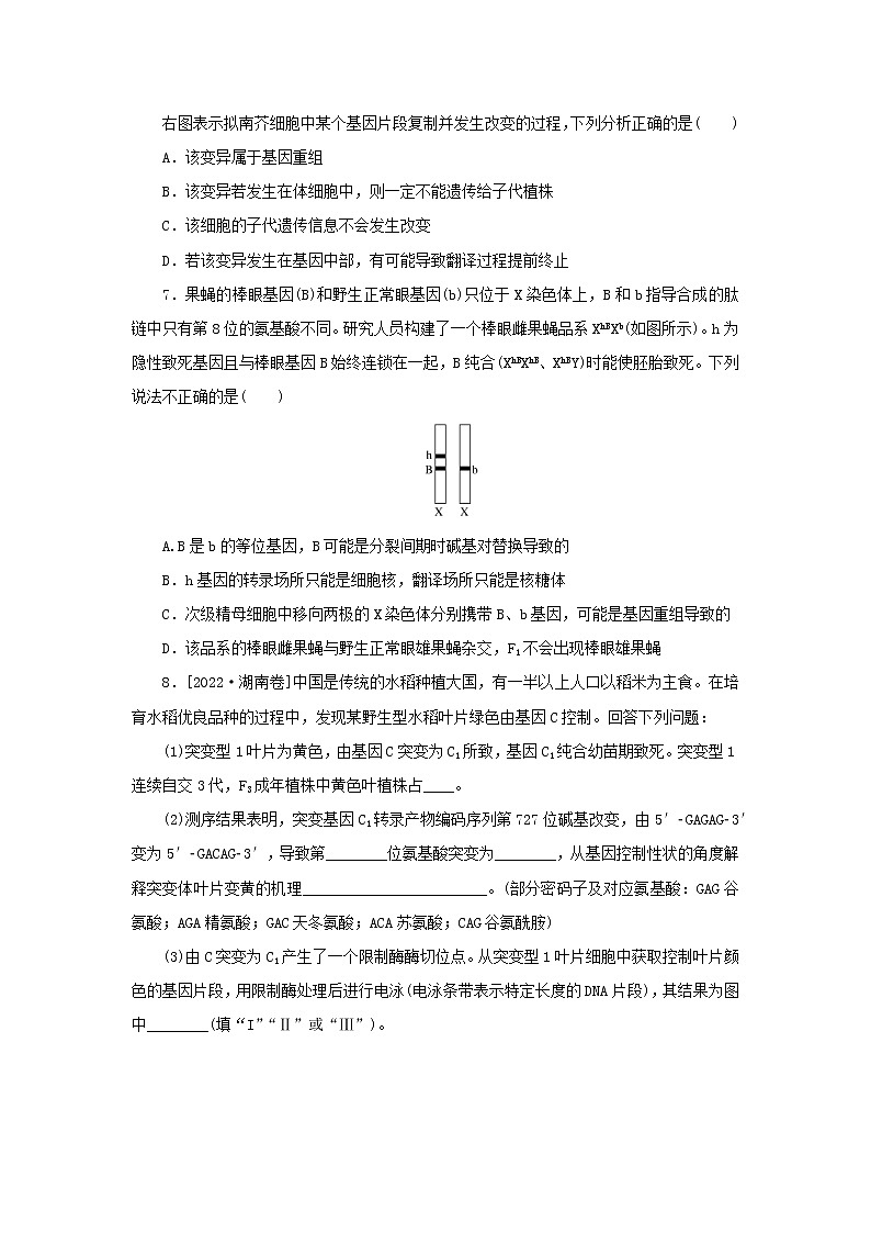 2023版高考生物第一部分专题练专练46基因突变和基因重组第2页