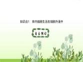 人教版高中生物选择性必修1第1章第1节细胞生活的环境课件