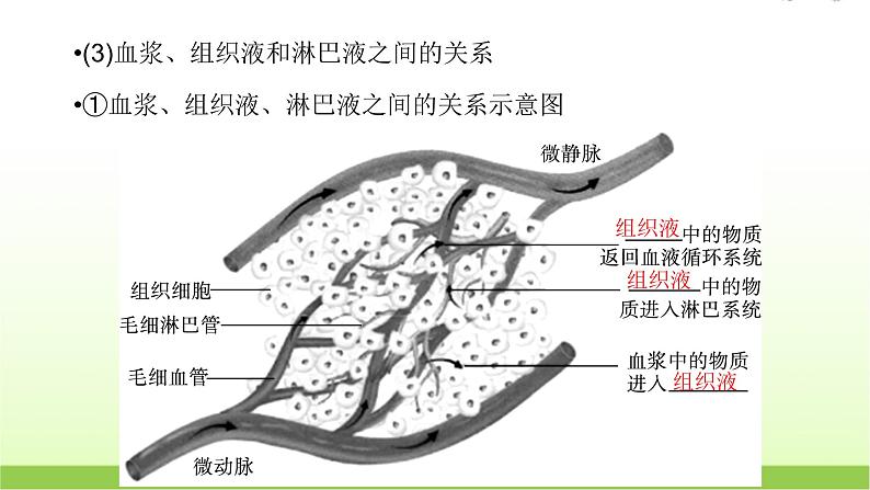 人教版高中生物选择性必修1第1章第1节细胞生活的环境课件08