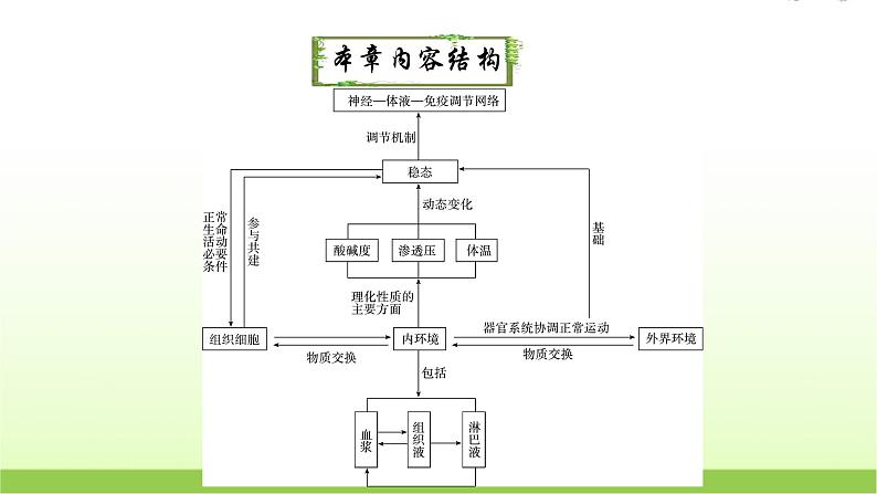 人教版高中生物选择性必修1第1章第2节内环境的稳态课件02