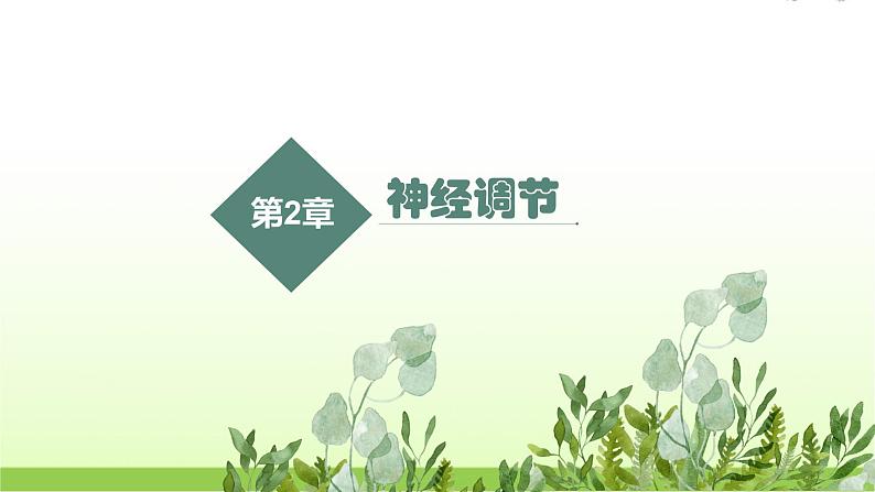 人教版高中生物选择性必修1第2章第1节神经调节的结构基础课件01