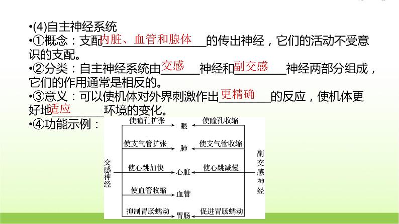 人教版高中生物选择性必修1第2章第1节神经调节的结构基础课件08