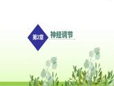 人教版高中生物选择性必修1第2章第3节神经冲动的产生和传导课件