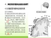 人教版高中生物选择性必修1第2章第4节神经系统的分级调节课件