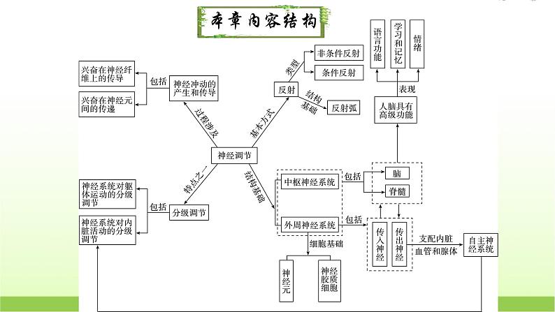 人教版高中生物选择性必修1第2章第5节人脑的高级功能课件第2页