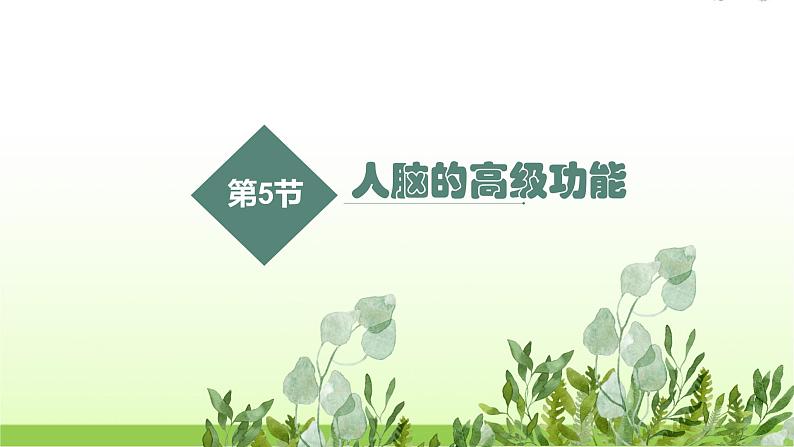 人教版高中生物选择性必修1第2章第5节人脑的高级功能课件第3页