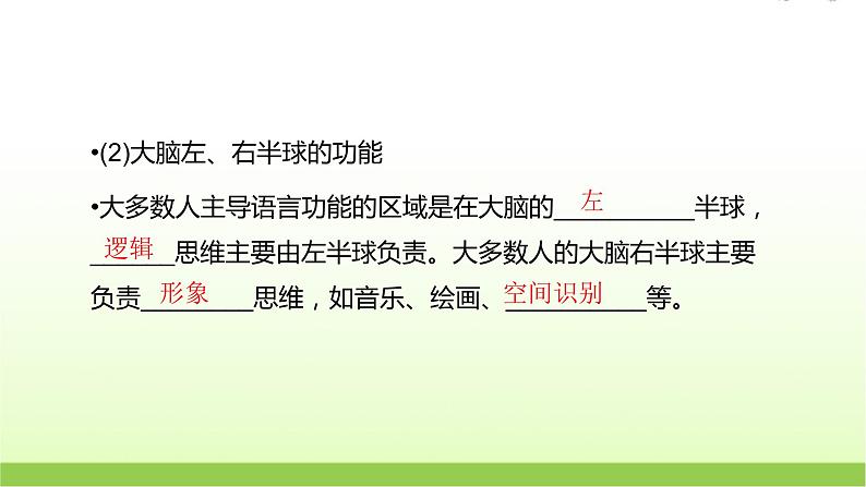 人教版高中生物选择性必修1第2章第5节人脑的高级功能课件第7页