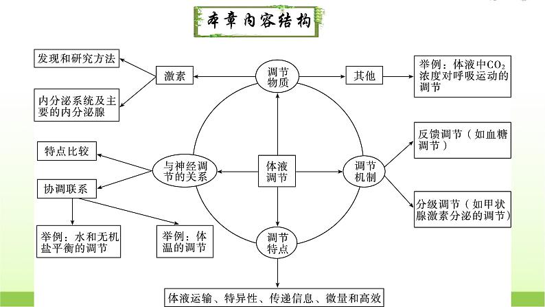 人教版高中生物选择性必修1第3章第1节激素与内分泌系统课件02