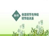 人教版高中生物选择性必修1第3章第3节体液调节与神经调节的关系课件