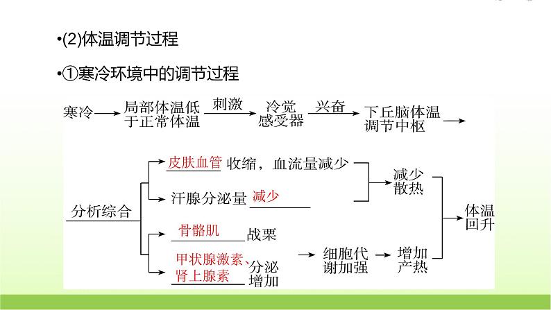 人教版高中生物选择性必修1第3章第3节体液调节与神经调节的关系课件第7页