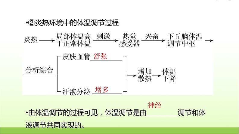 人教版高中生物选择性必修1第3章第3节体液调节与神经调节的关系课件第8页