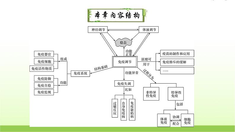 人教版高中生物选择性必修1第4章第1节免疫系统的组成和功能课件02