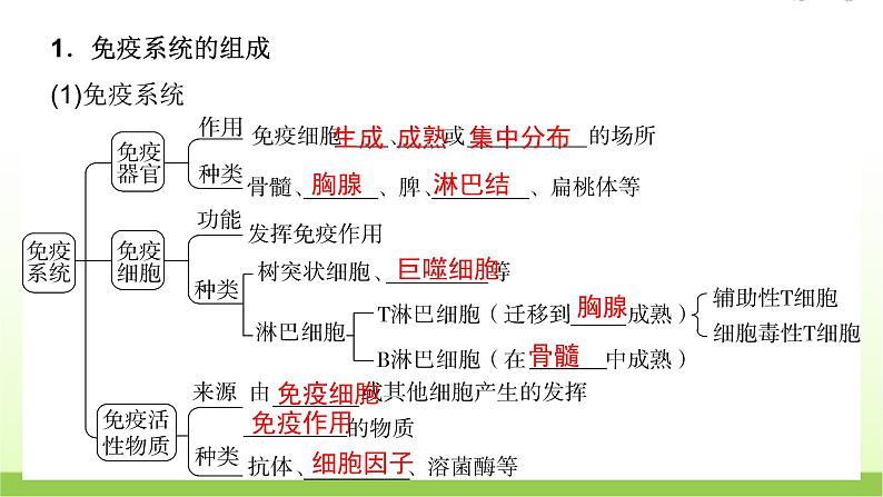 人教版高中生物选择性必修1第4章第1节免疫系统的组成和功能课件05