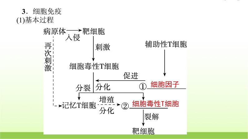 人教版高中生物选择性必修1第4章第2节特异性免疫课件第8页