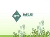 人教版高中生物选择性必修1第4章第3节免疫失调课件