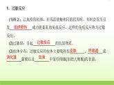 人教版高中生物选择性必修1第4章第3节免疫失调课件