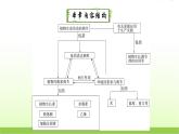 人教版高中生物选择性必修1第5章第1节植物生长素课件