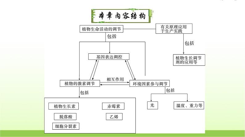 人教版高中生物选择性必修1第5章第1节植物生长素课件第2页