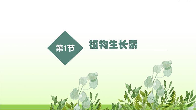 人教版高中生物选择性必修1第5章第1节植物生长素课件第3页