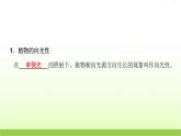 人教版高中生物选择性必修1第5章第1节植物生长素课件