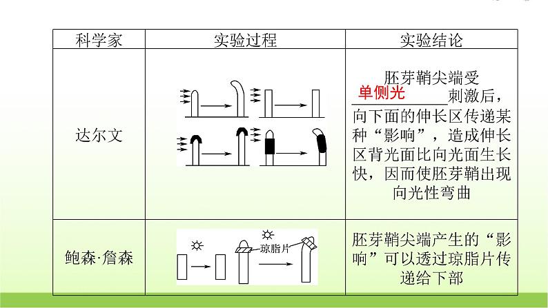 人教版高中生物选择性必修1第5章第1节植物生长素课件第6页