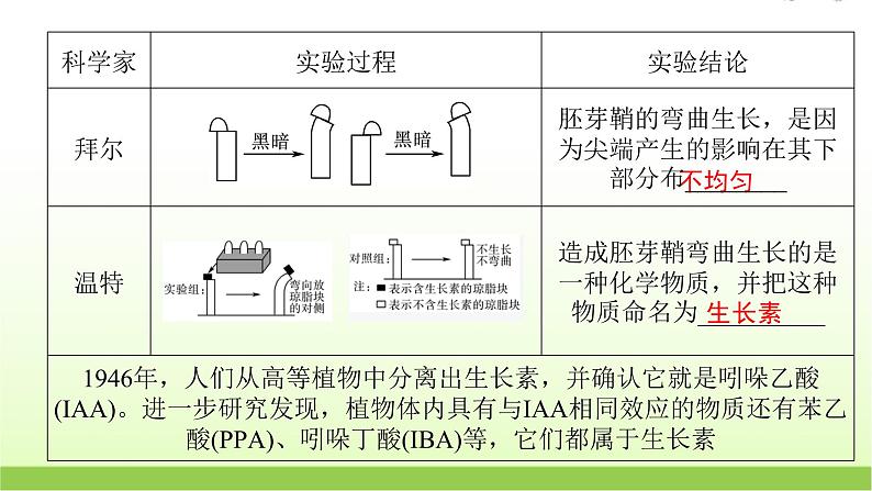 人教版高中生物选择性必修1第5章第1节植物生长素课件第7页