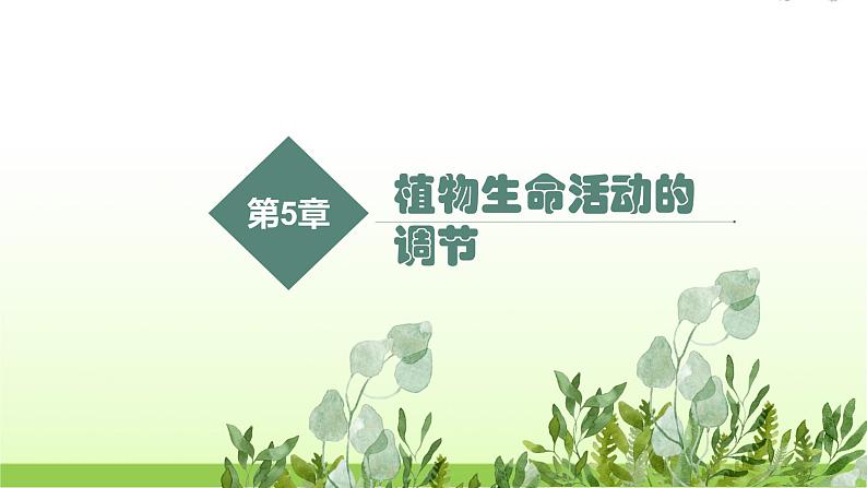人教版高中生物选择性必修1第5章第2节植物生长素课件第1页