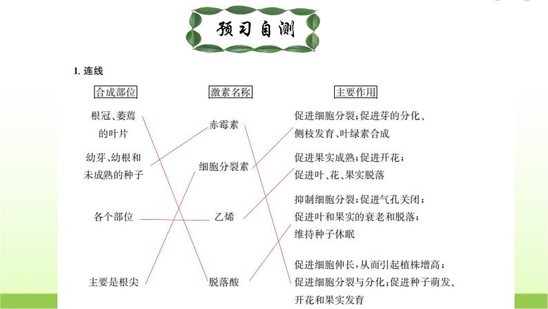 人教版高中生物选择性必修1第5章第2节植物生长素课件第7页