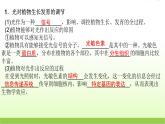 人教版高中生物选择性必修1第5章第4节环境因素参与调节植物的生命活动课件