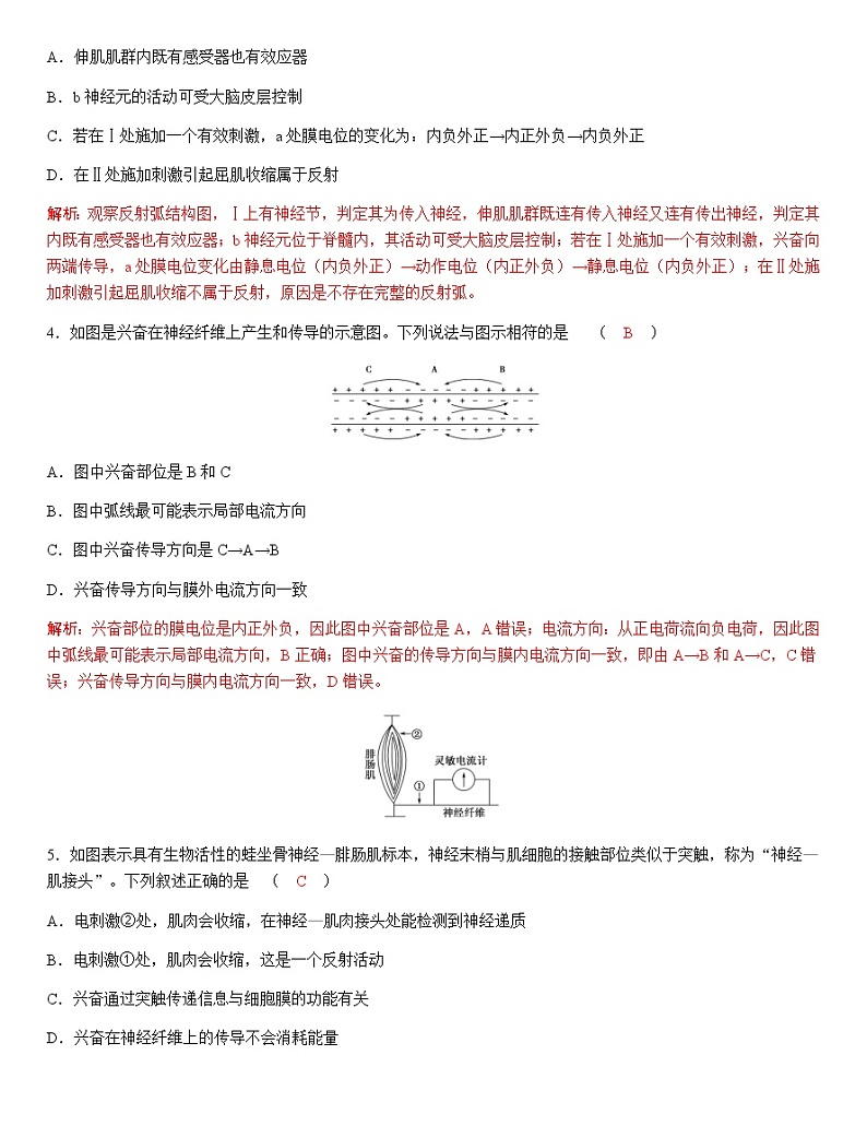 人教版高中生物选择性必修1第2章第3节神经冲动的产生和传导作业第2页
