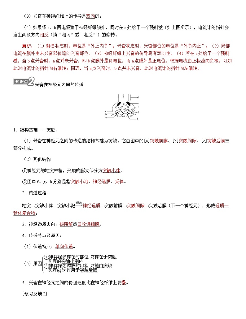 人教版高中生物选择性必修1第2章第3节神经冲动的产生和传导学案第2页