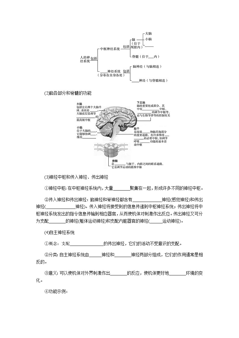 人教版高中生物选择性必修1第2章第1节神经调节的结构基础学案02